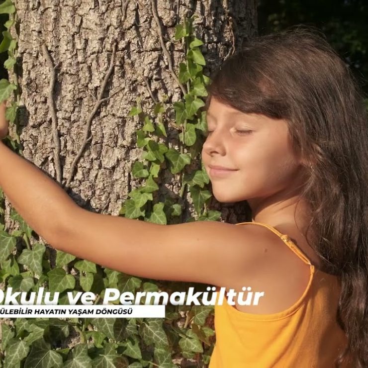 Video Prodüksiyon 